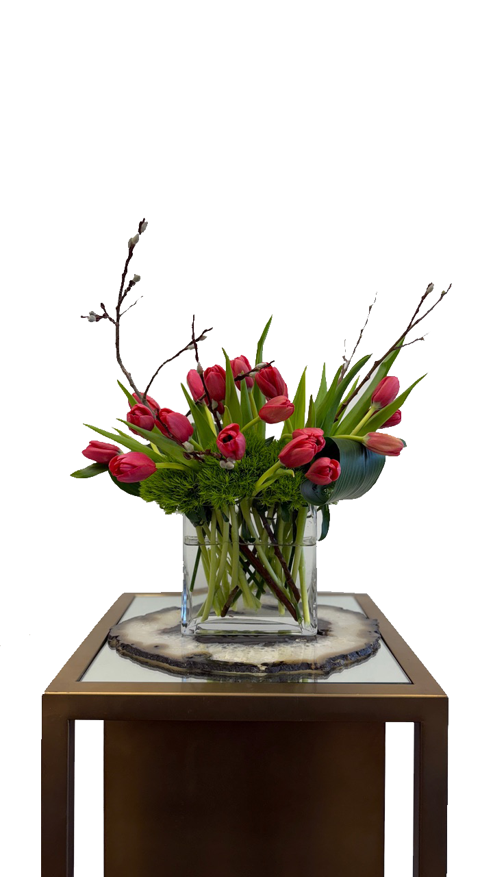 Tulips to Kiss